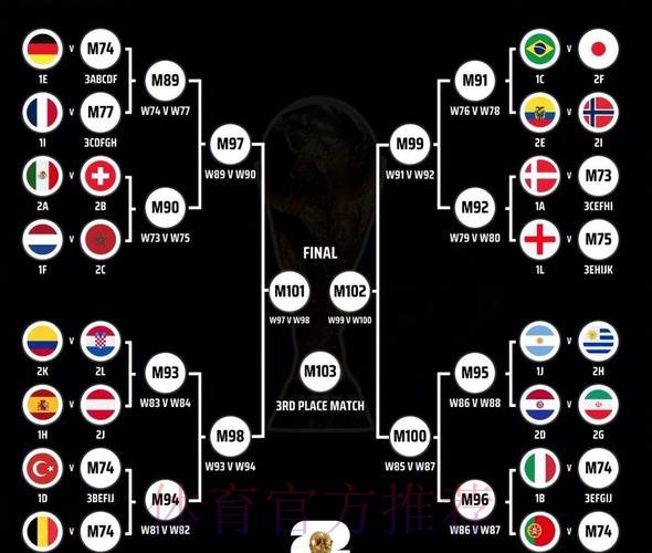 全面解析世界杯赛事数据背后的奥秘